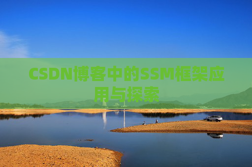 CSDN博客中的SSM框架应用与探索
